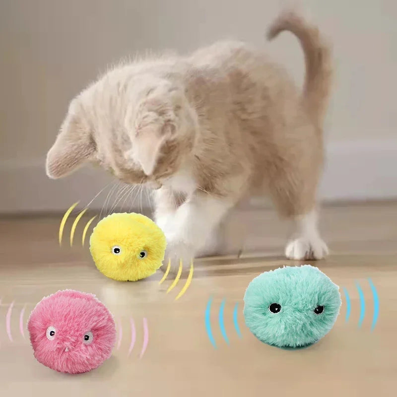 Puzzles & Treat-Dispensing Toys